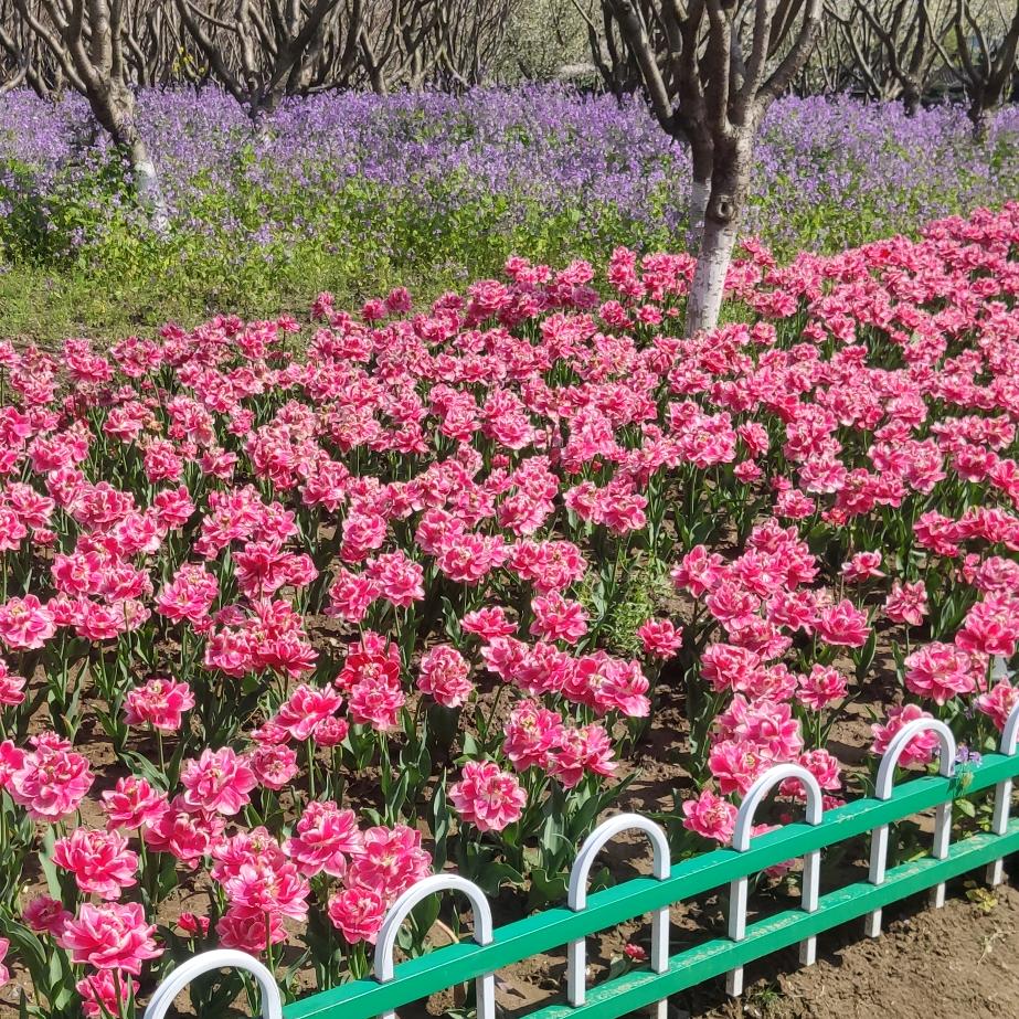 ㇏ぉ一路向阳