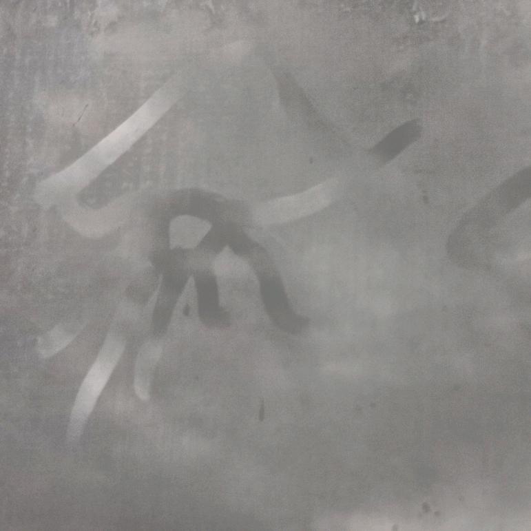光之秃驴？🐟
