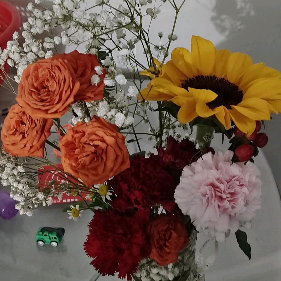 🍎平平淡淡才是真🍎