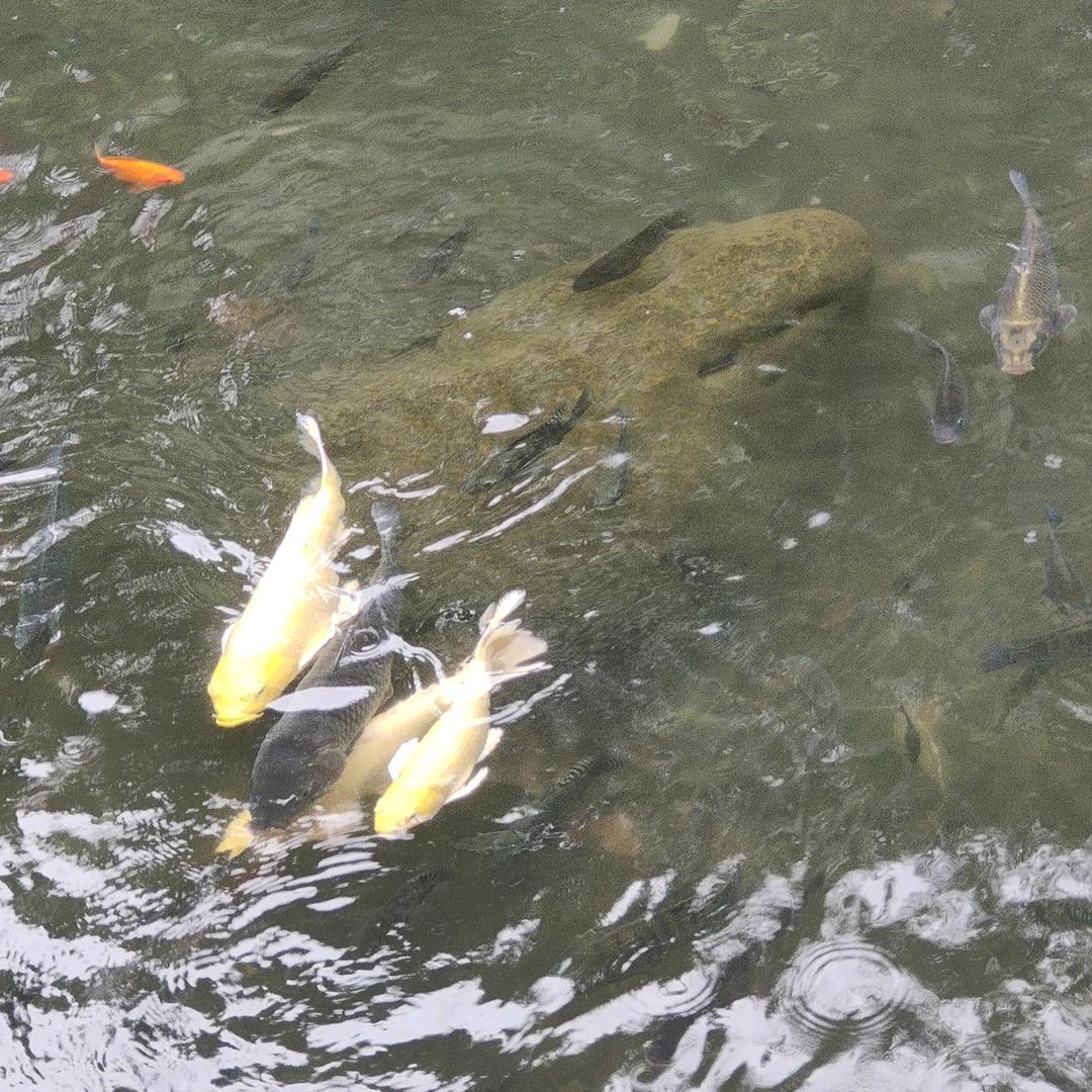 阳光正好