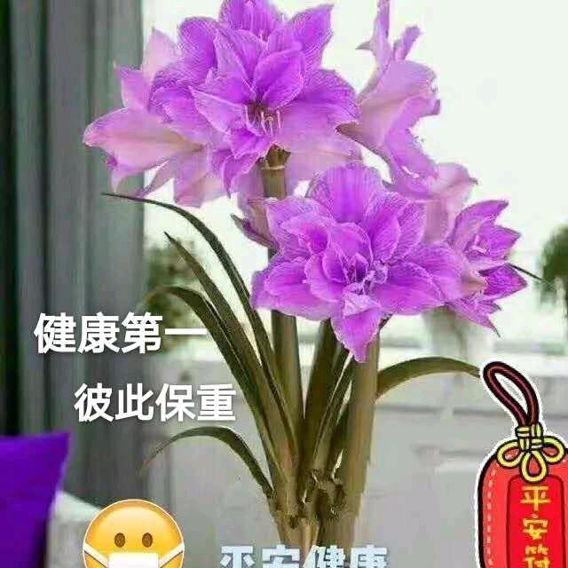 用户3904044597637云