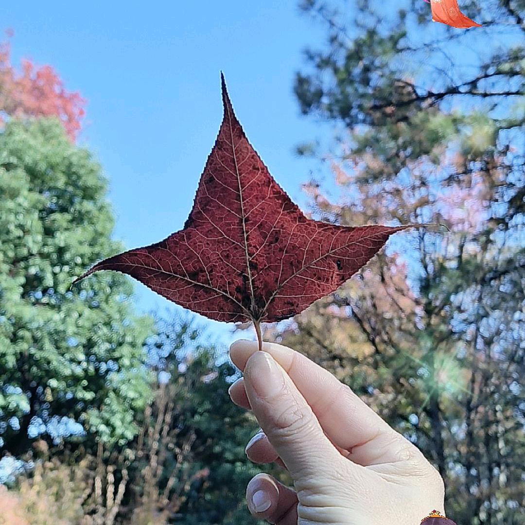 过期🍬的🍬糖🍬