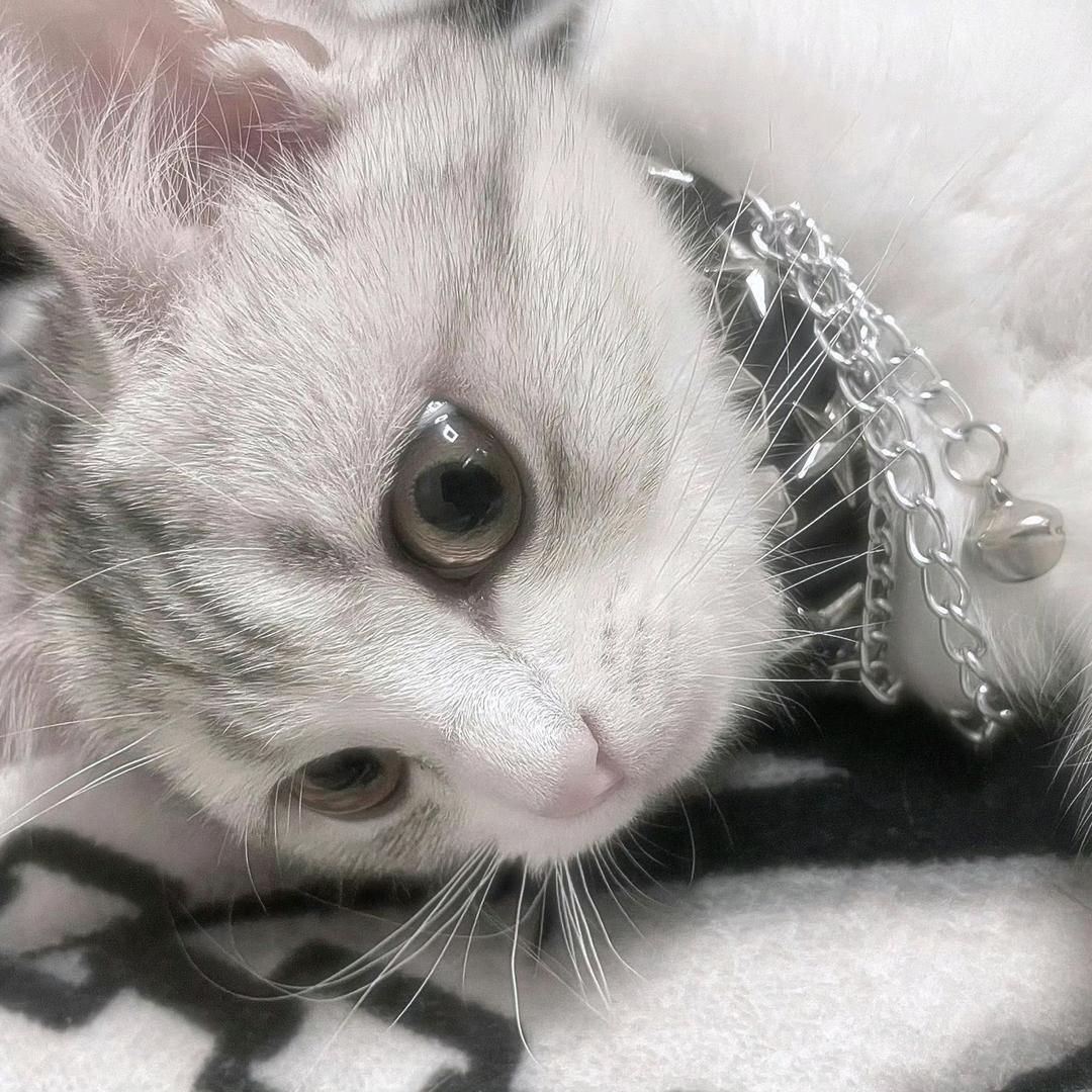 冬瓜玉米排骨汤