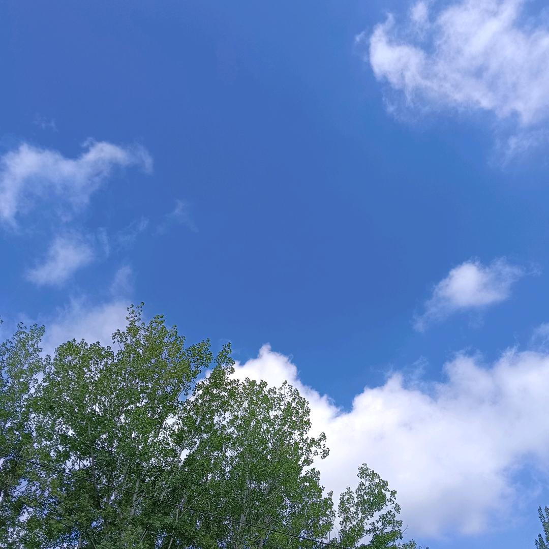 木子李 💫