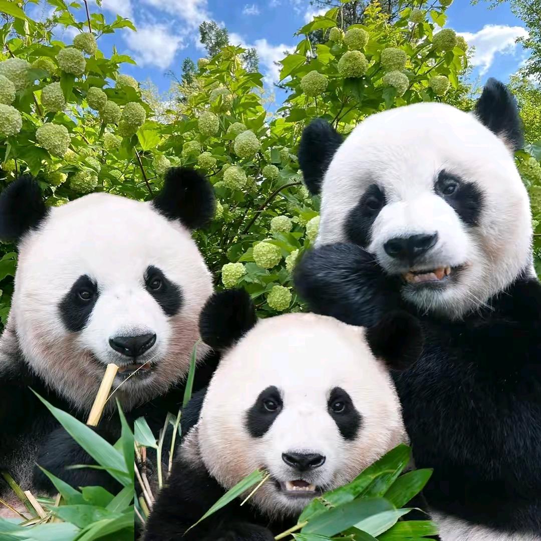 扯淡的人生。