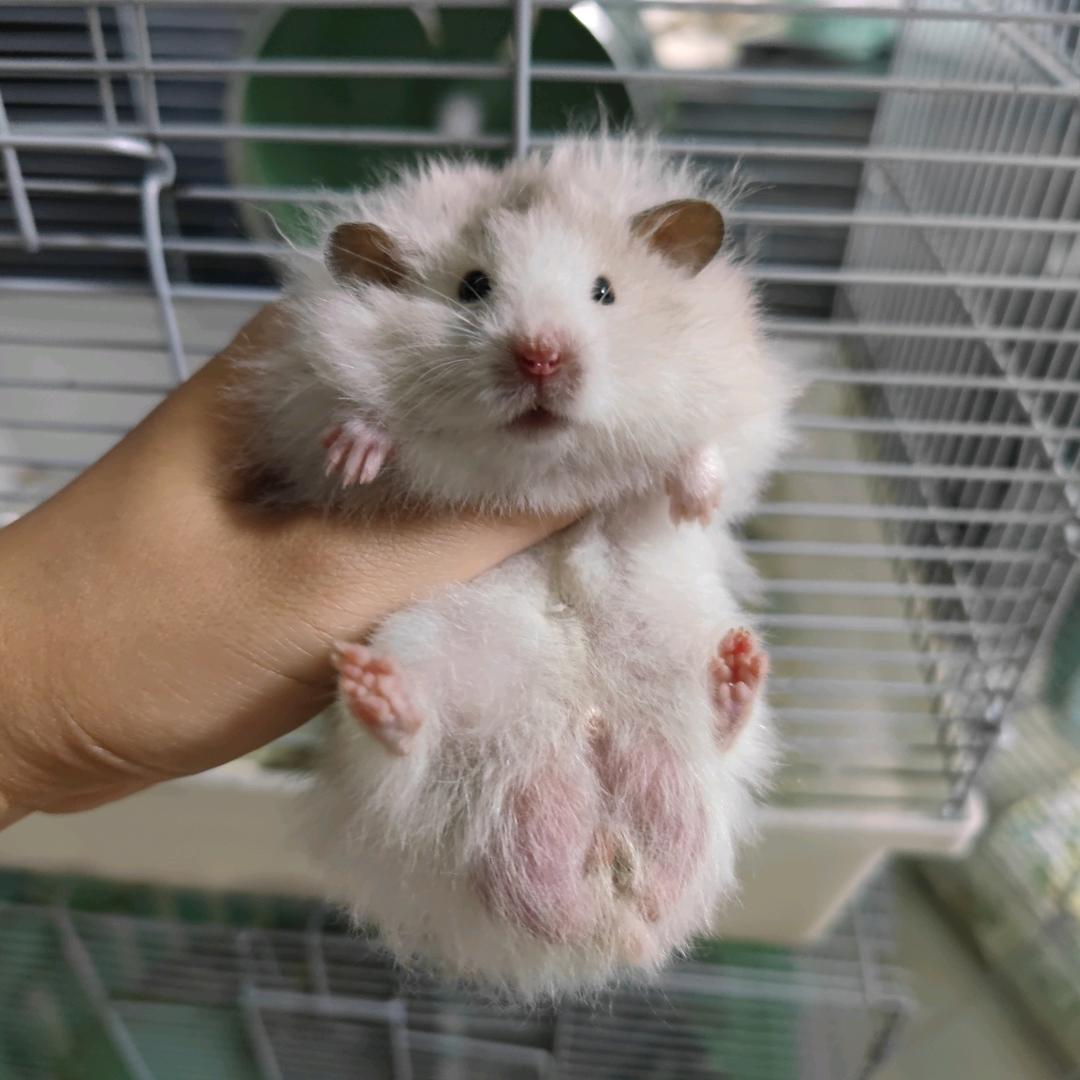 小阿姨记录生活