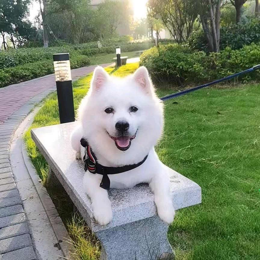 贝贝弟弟