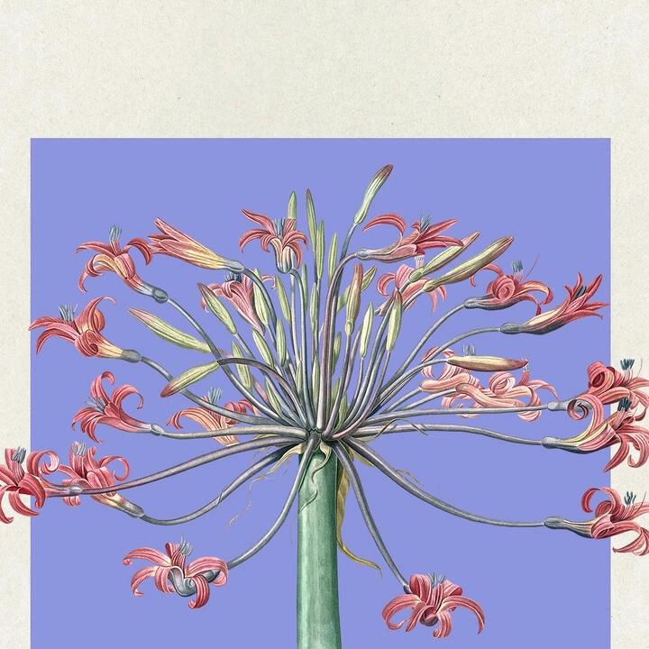 得过且过