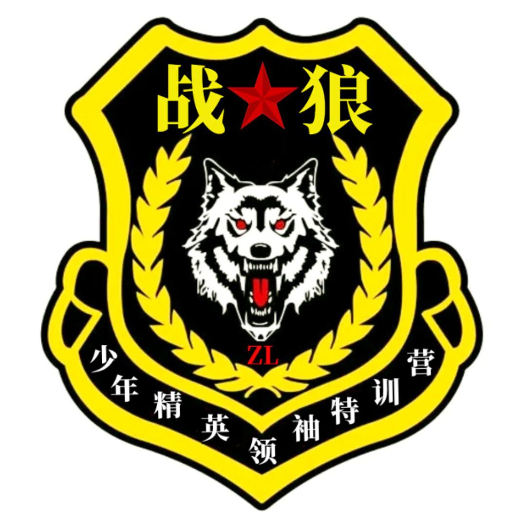 ☆战狼军事夏令营