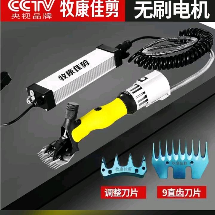 牧康成哥