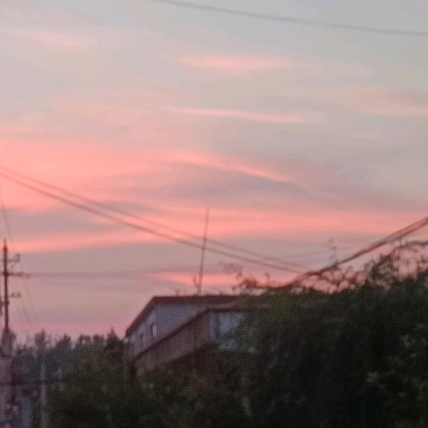 家庭里有我爸爸我妈妈我奶奶我，我是小女孩