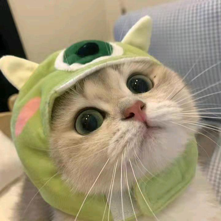 ￥小橙子※@