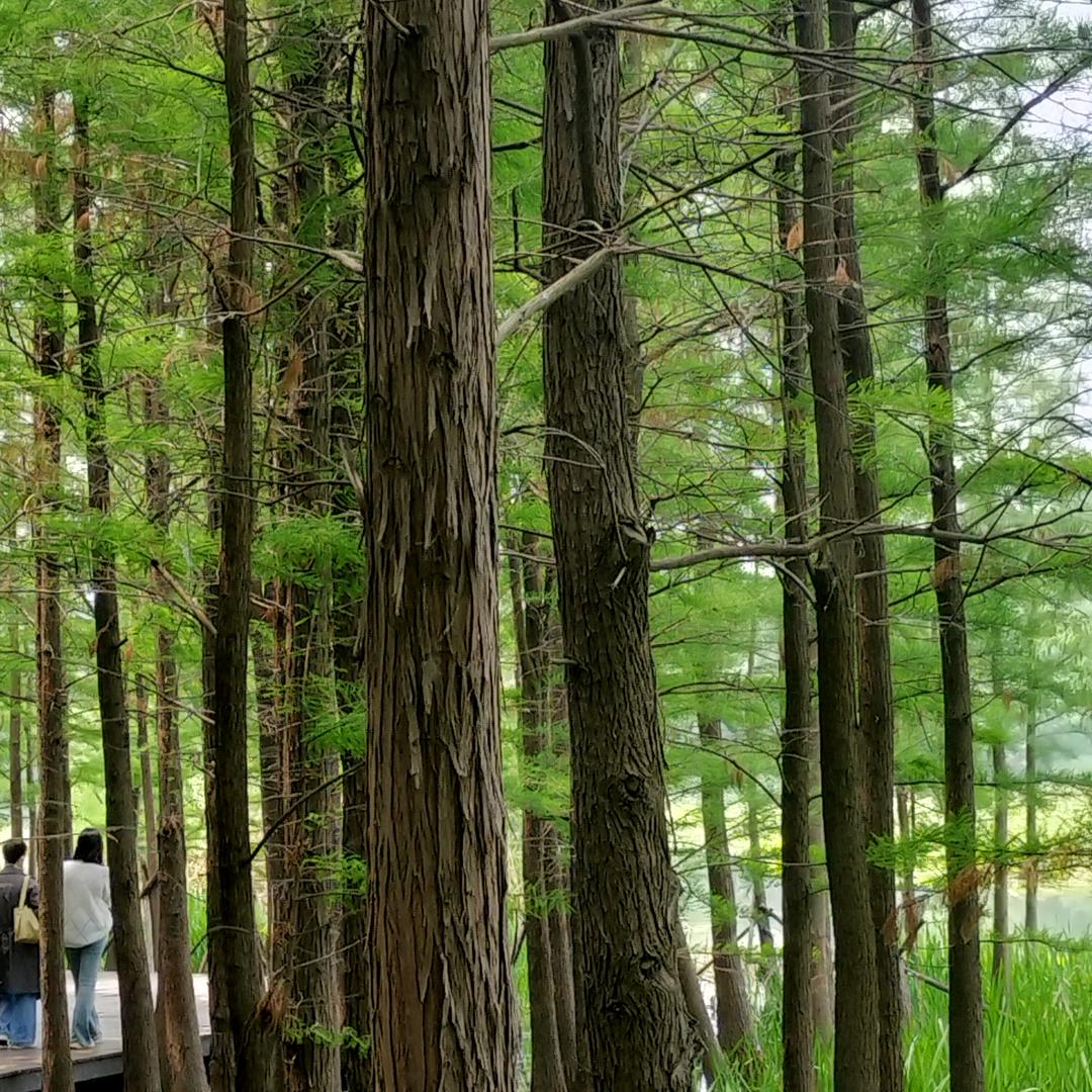 上海韬俊防水工程有限公司