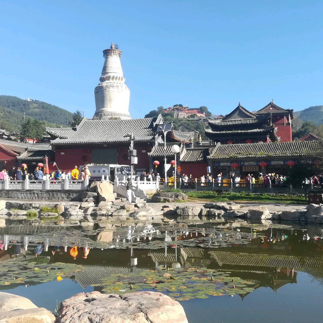 好远连连🙏