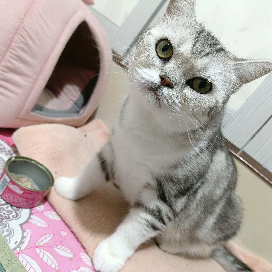 邹海燕