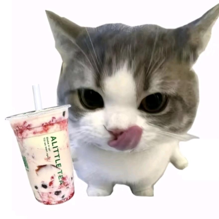无糖泡泡🍟