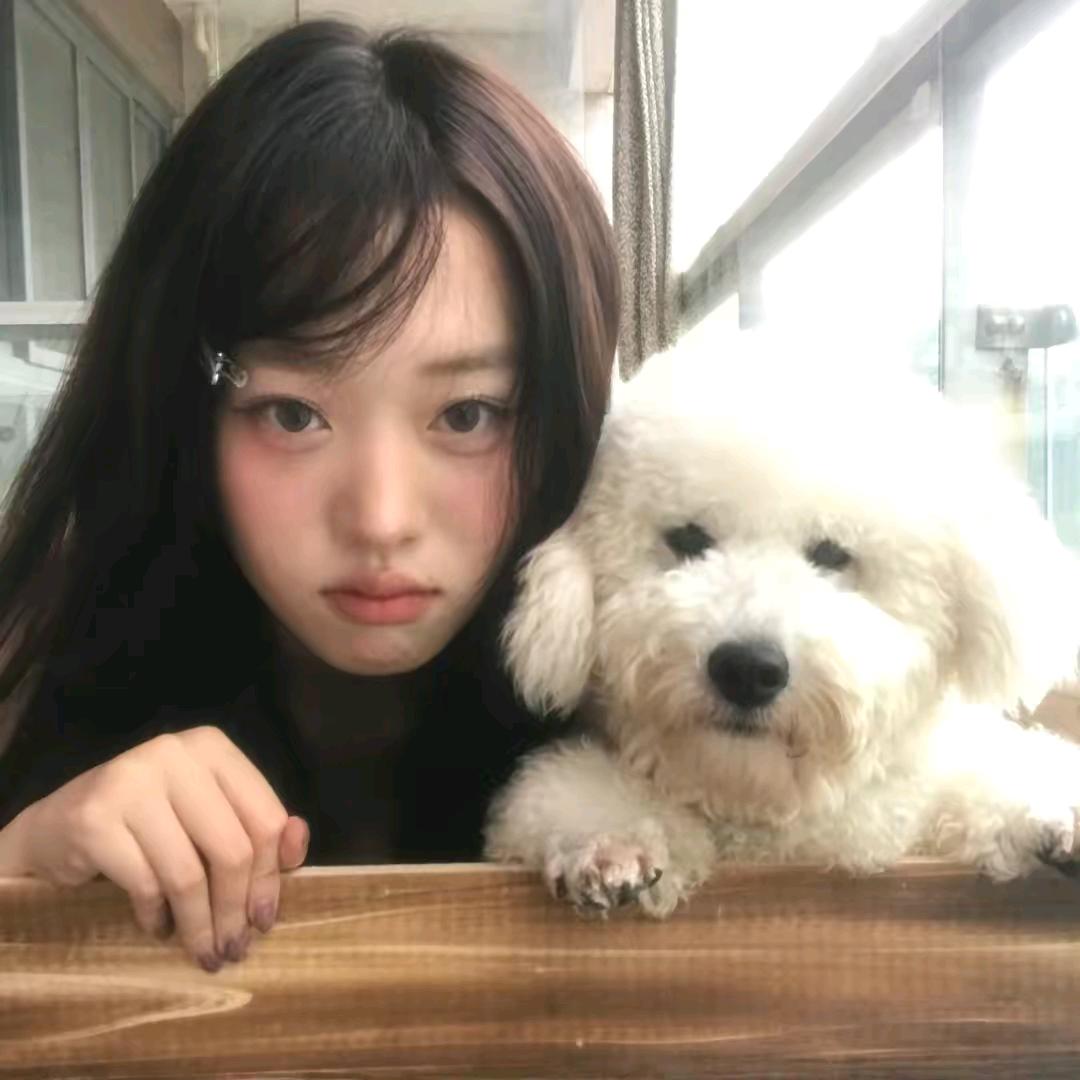 悲伤曲奇饼干