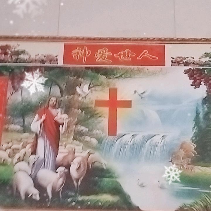刘女士🐯