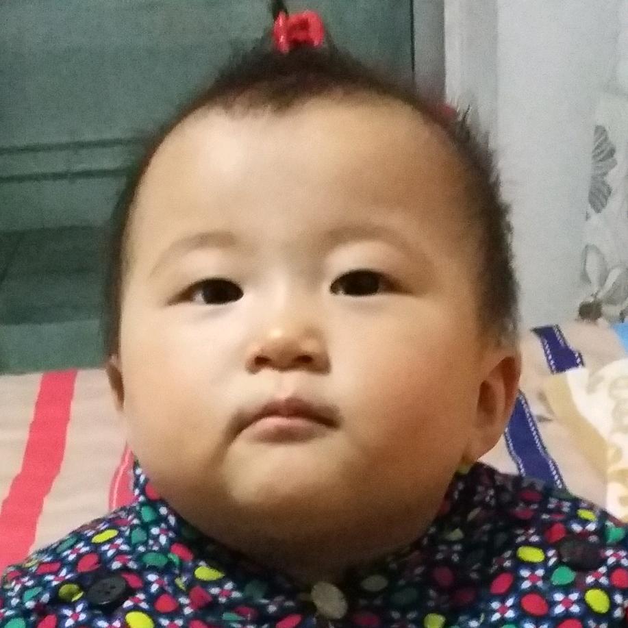 快乐飞舞
