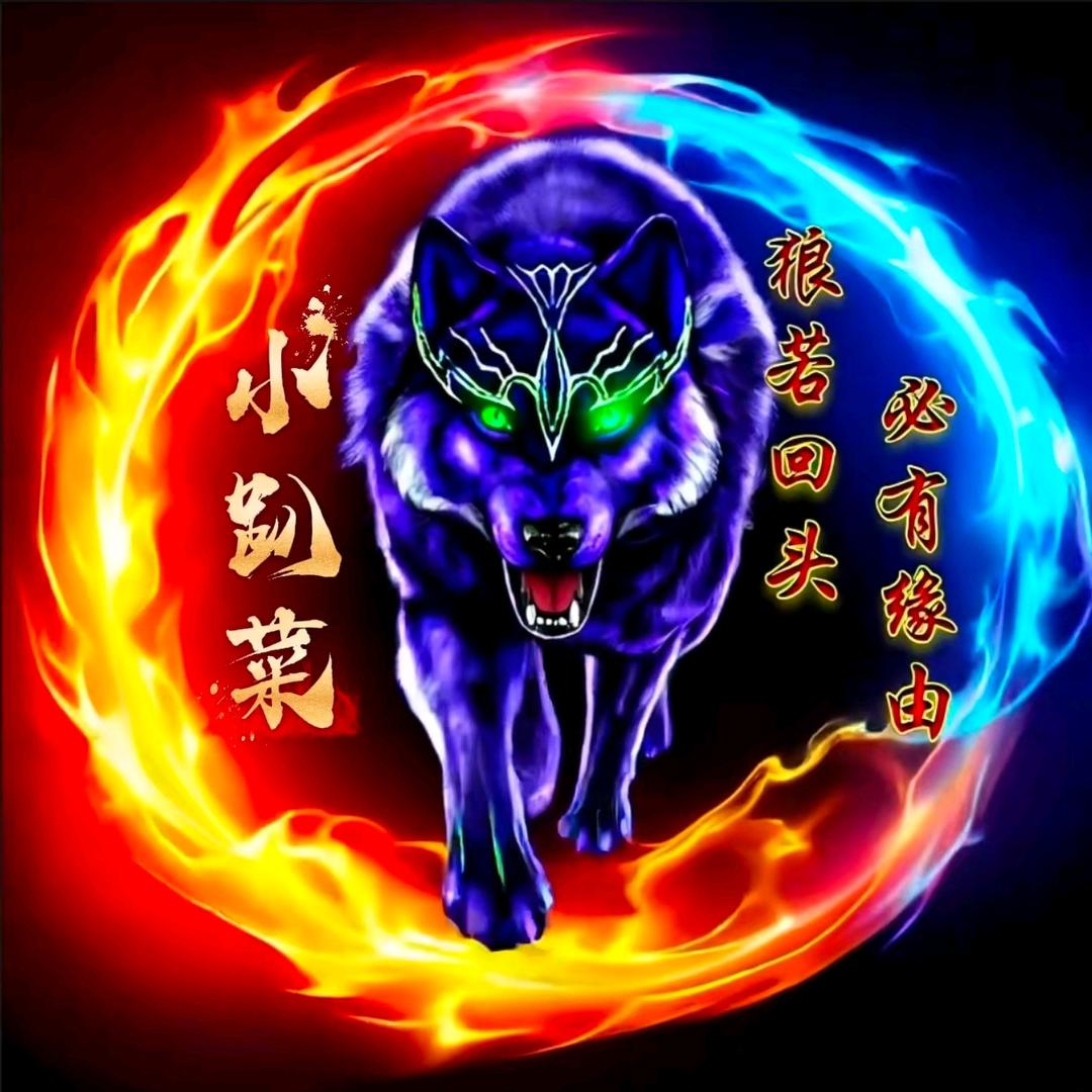 小趴菜了