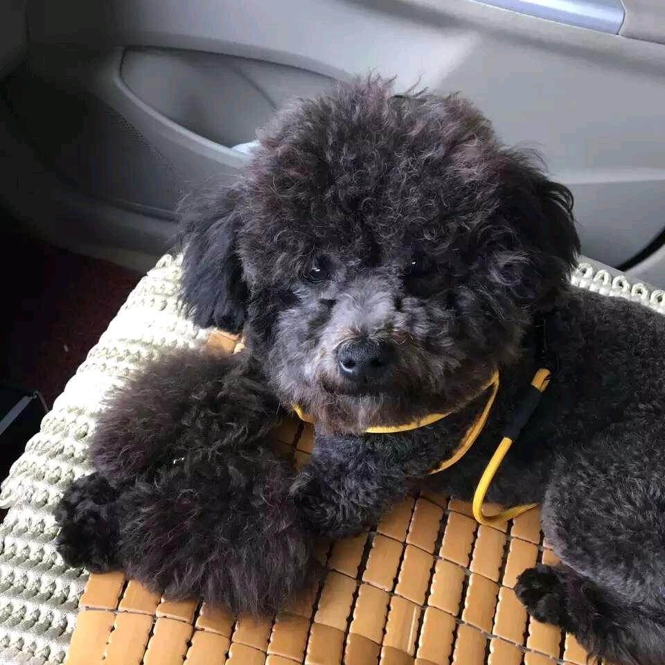 打工人