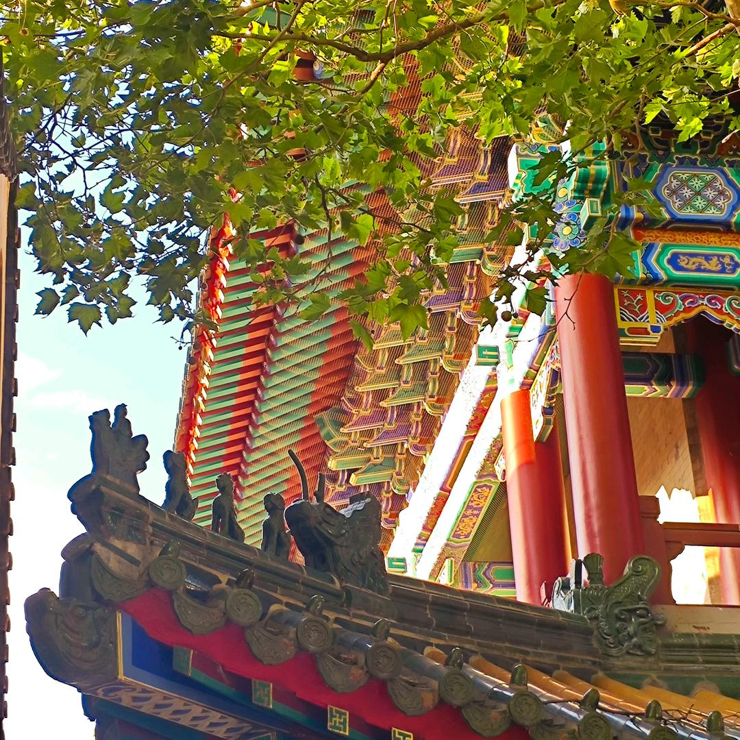 🍑哥-什么都好🦇 คิดถึง