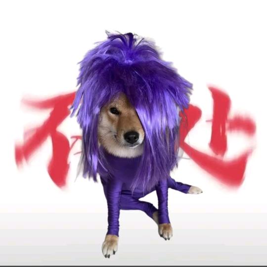 听说名字长会有傻子跟着念