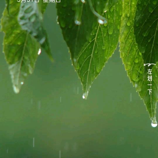 人在江湖