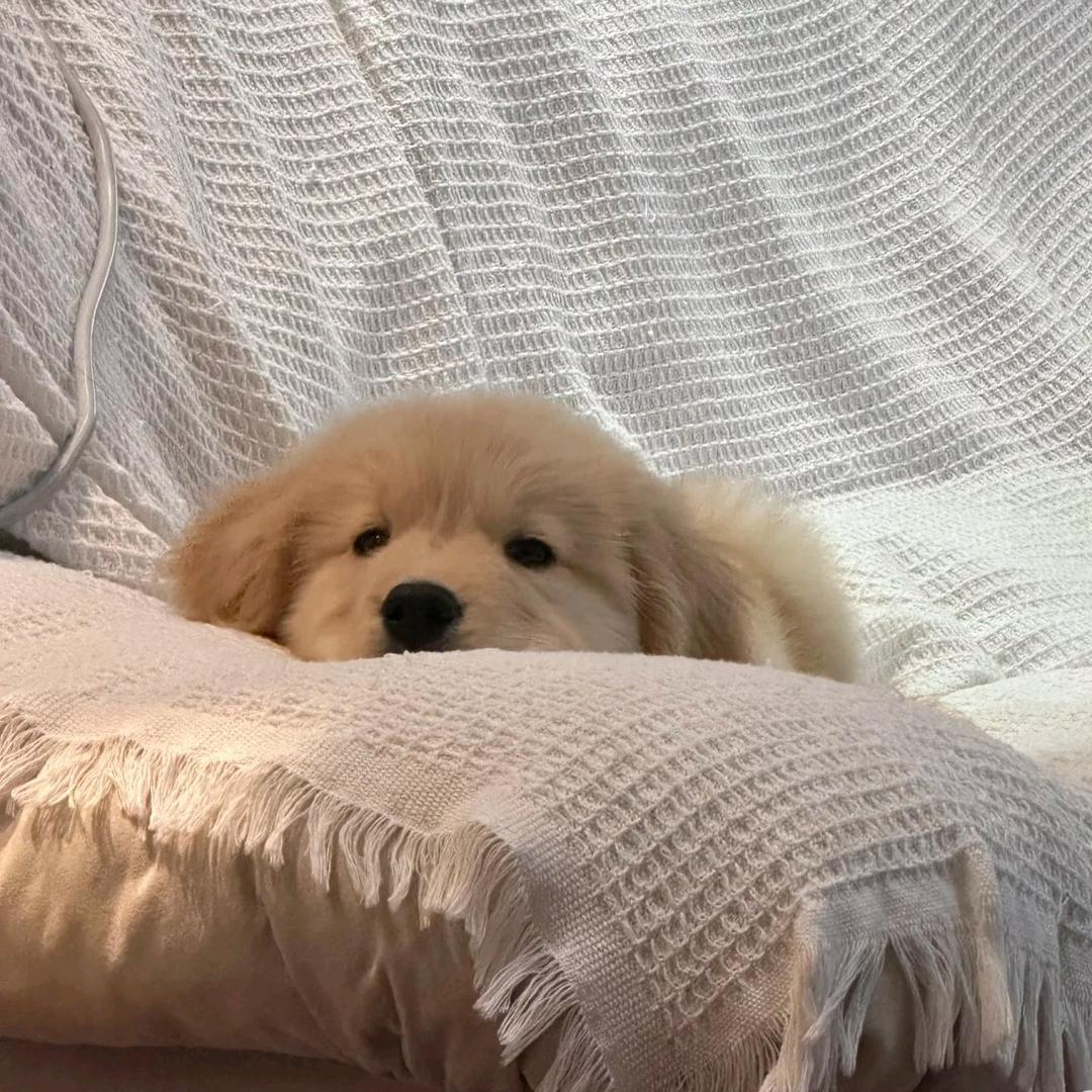 ʕ•ᴥ•ʔ  ⁶⁶⁶₆₆₆
