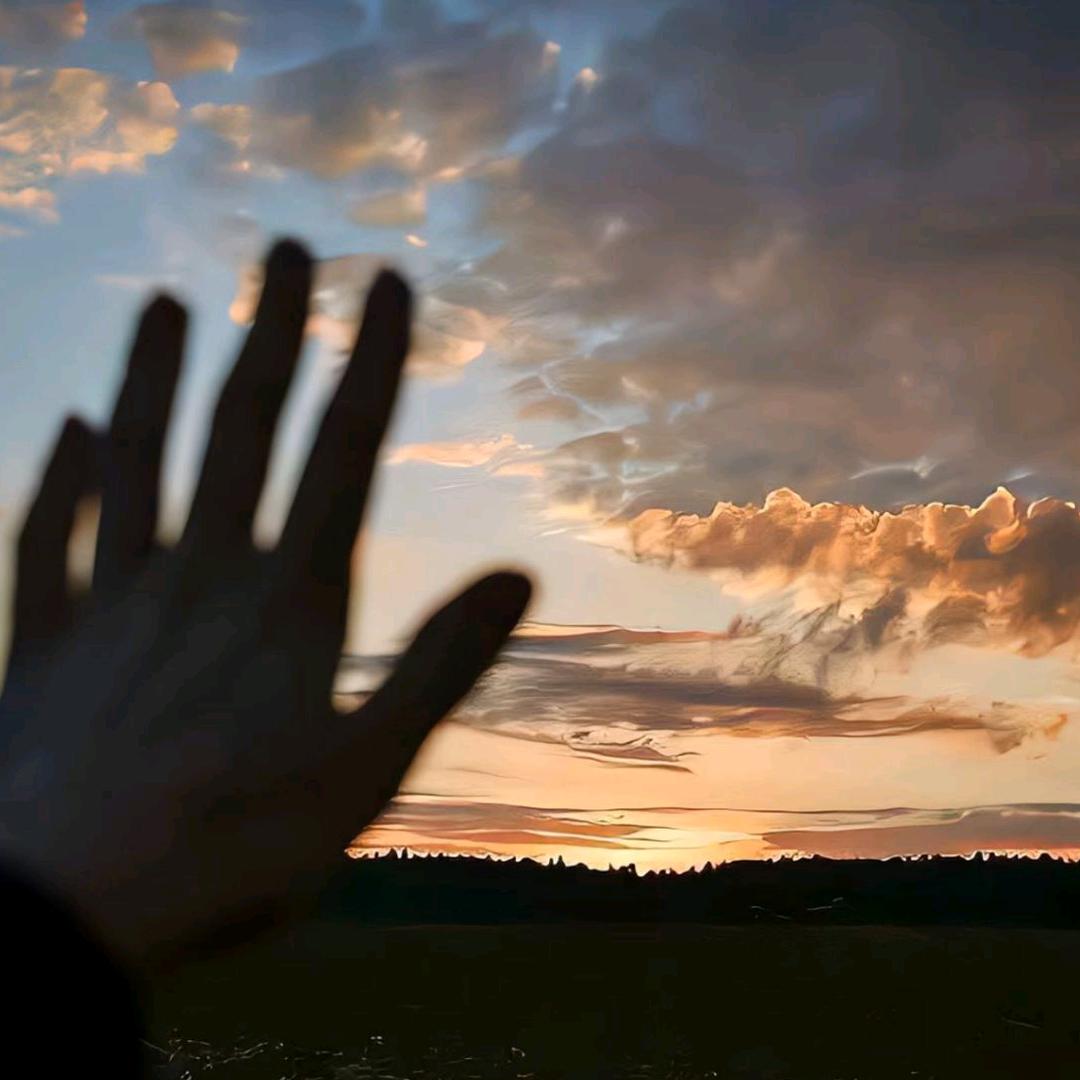 ── 展开 99条回复 ⌵