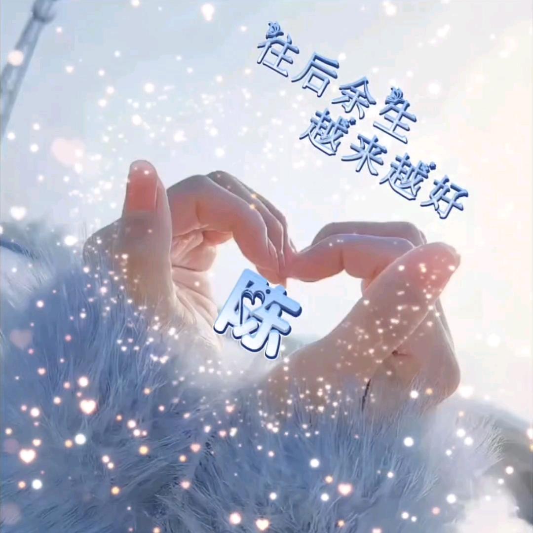向阳花🌻
