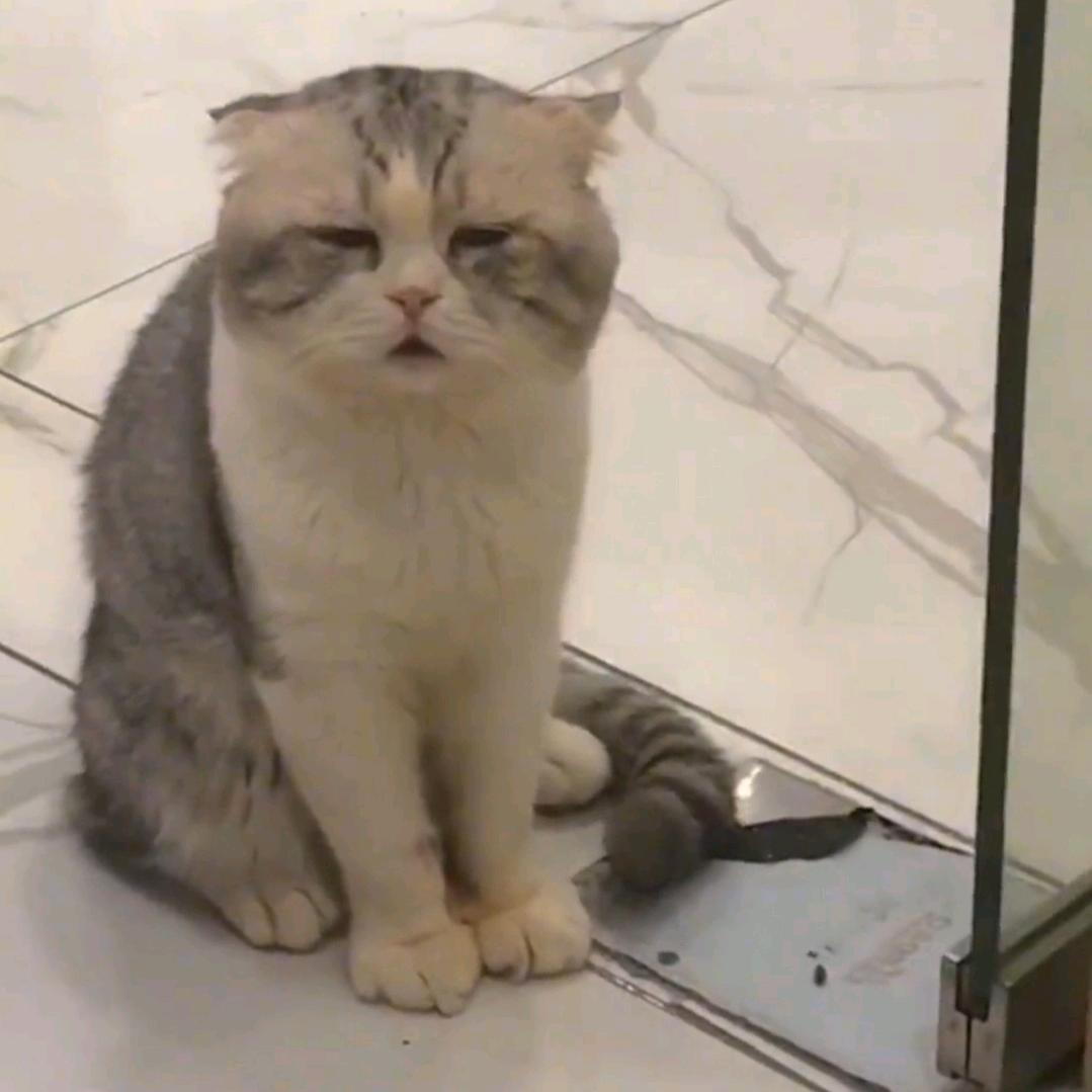 (￣へ￣)