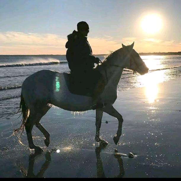康巴🦾嘎松
