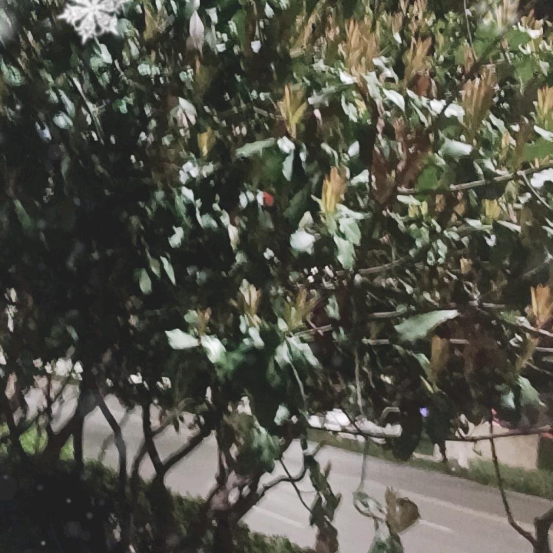 龙港市单丛电子商务商行