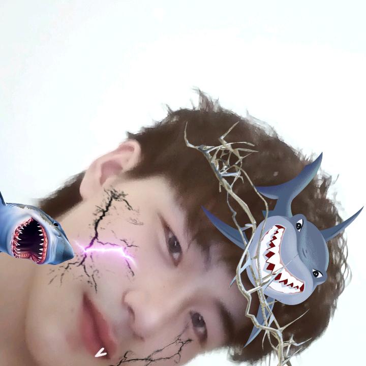 雪花❄️❄️❄️❄️❄️