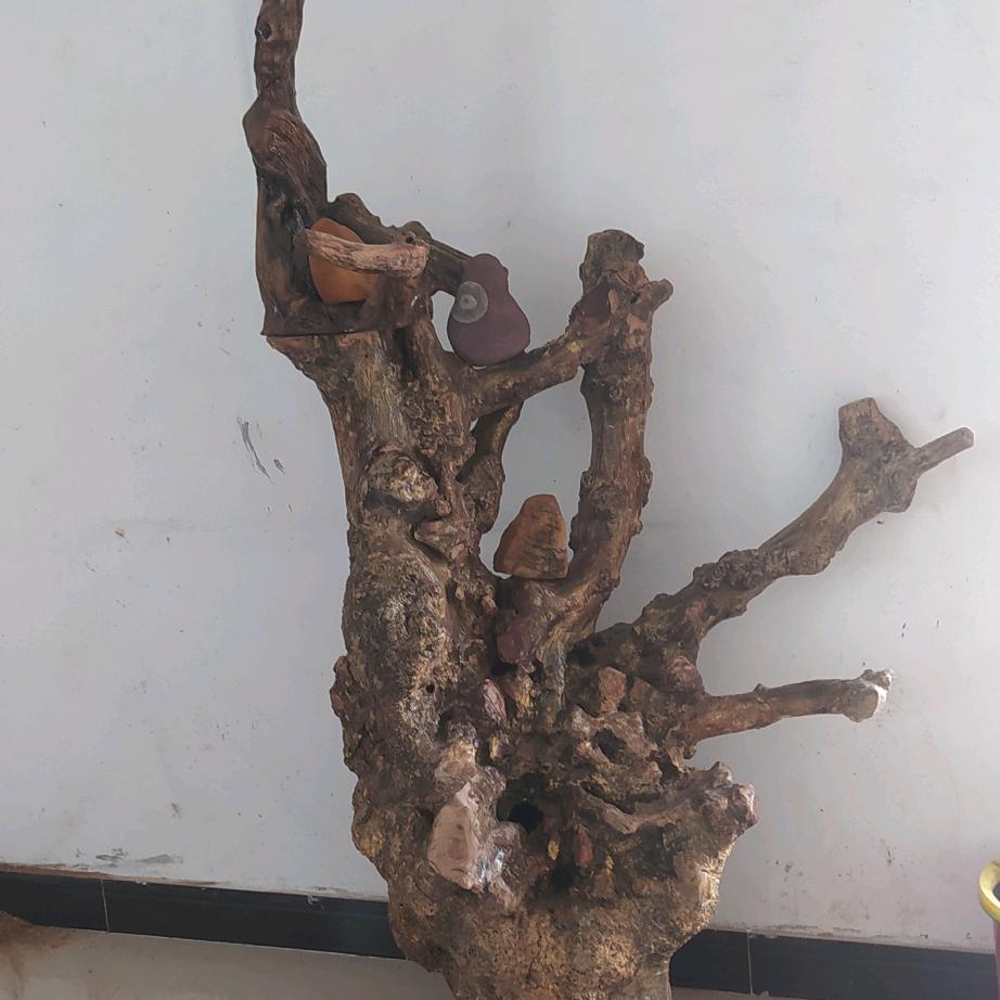 石在是美