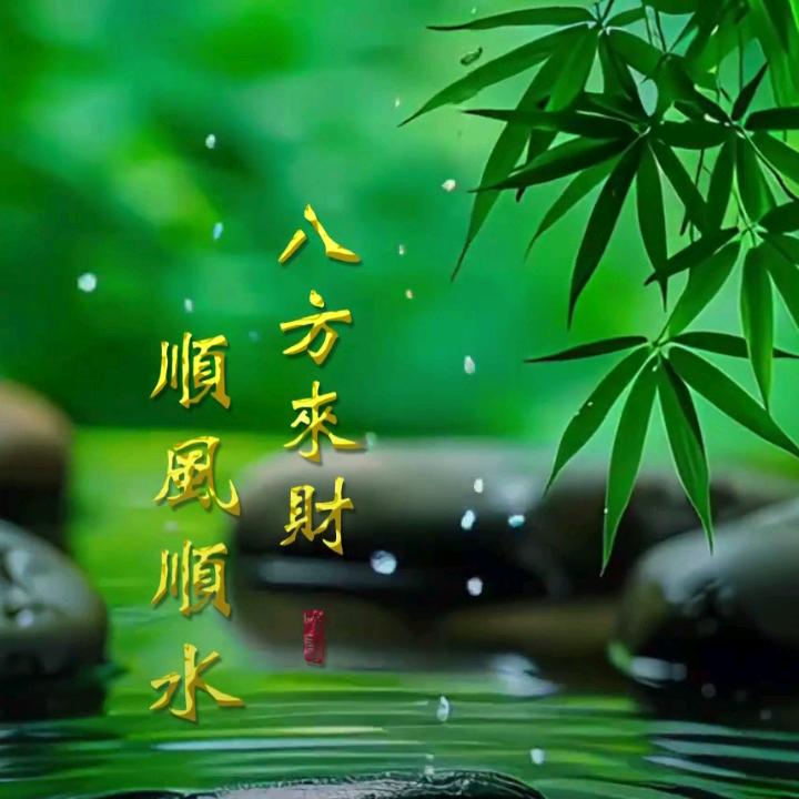 人工养殖蛇张家老八