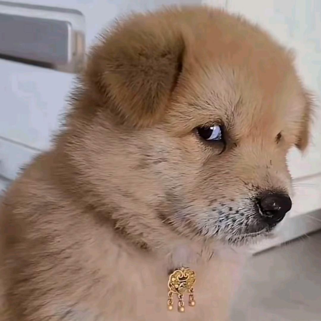 爱的尽头是什么