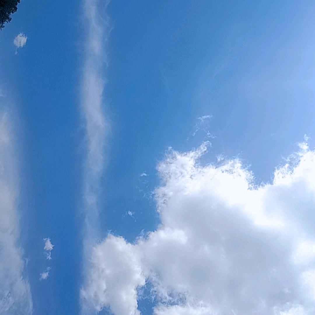 晓杰