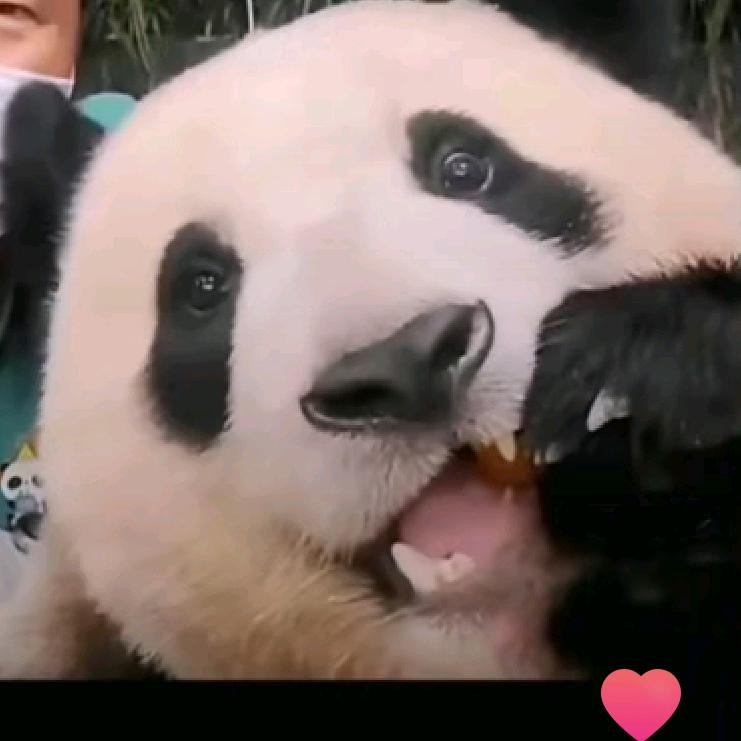 扶光辰时