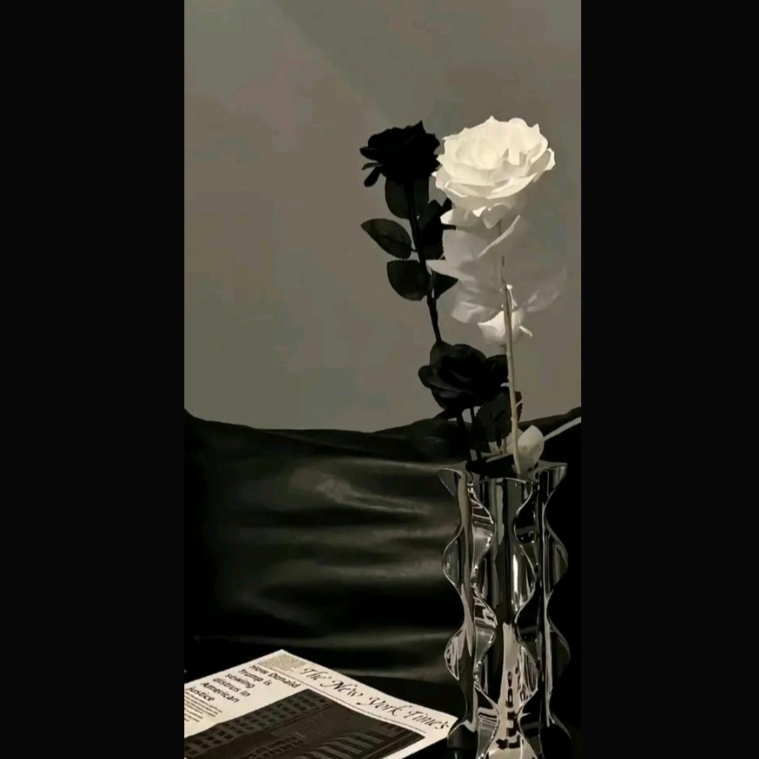 D下一个天亮