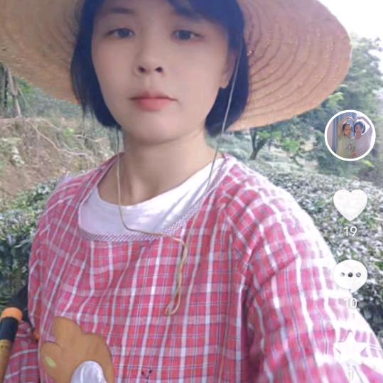 小花菜1.10首播