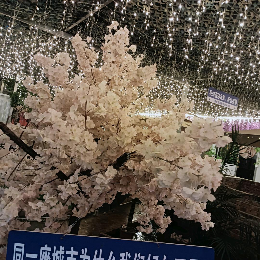 逍遥自在