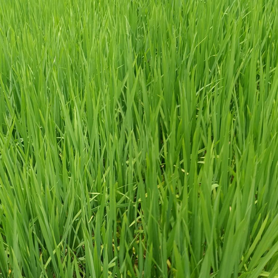 风景再美也留不住