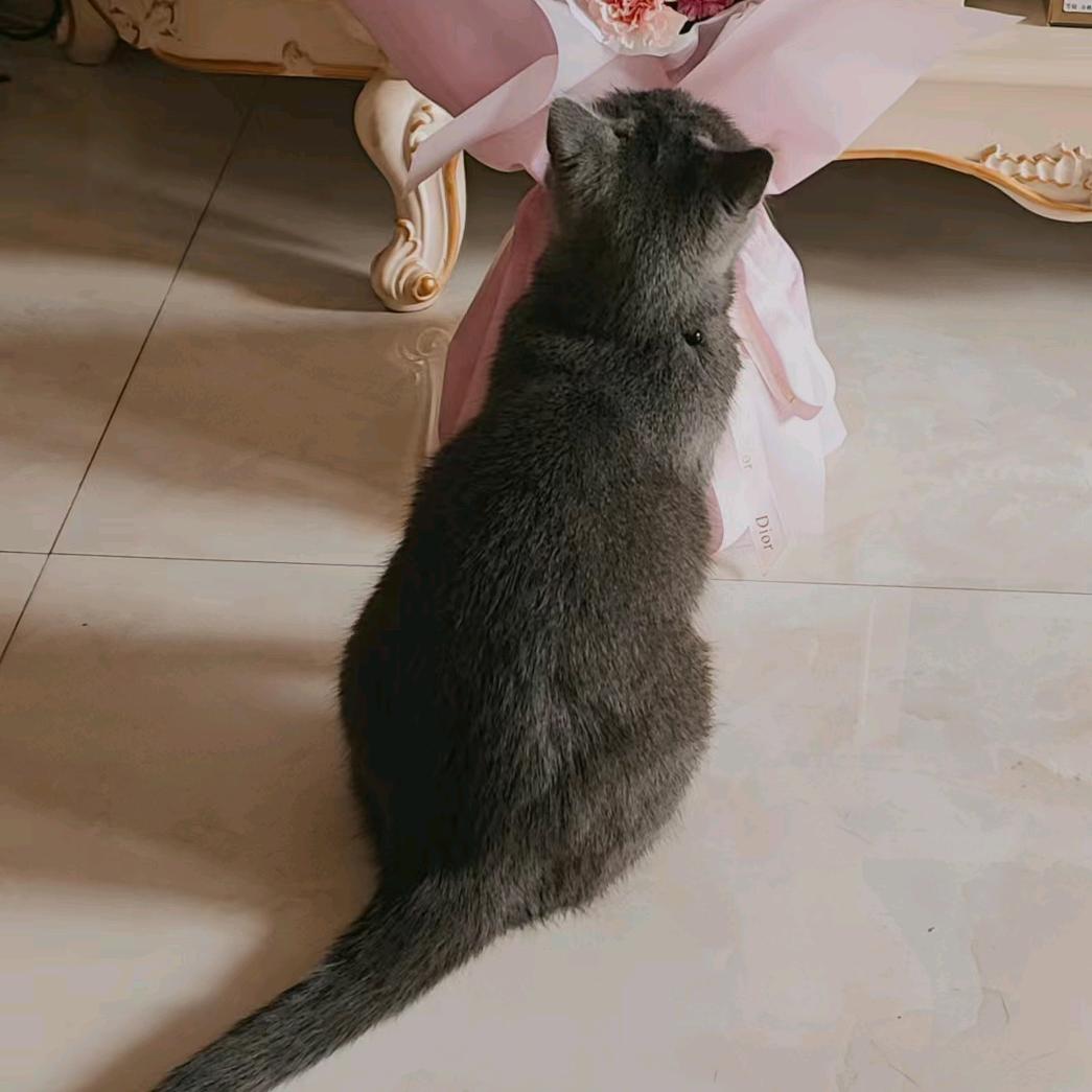 唯美零食