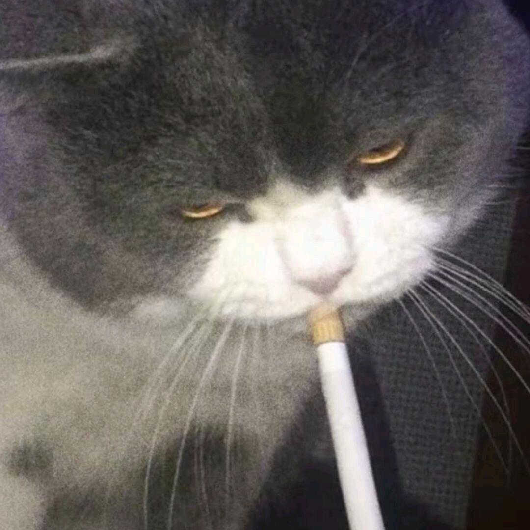 吃汤圆不吐皮