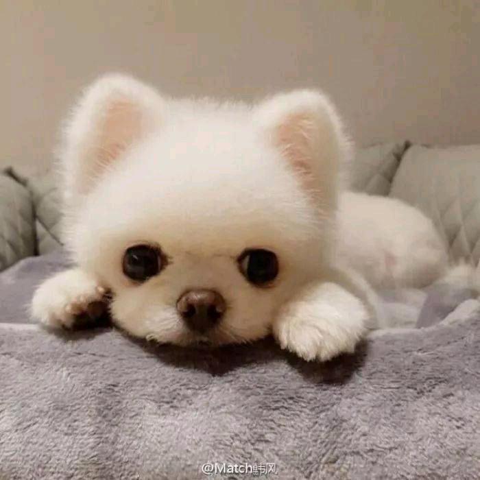 刘海燕