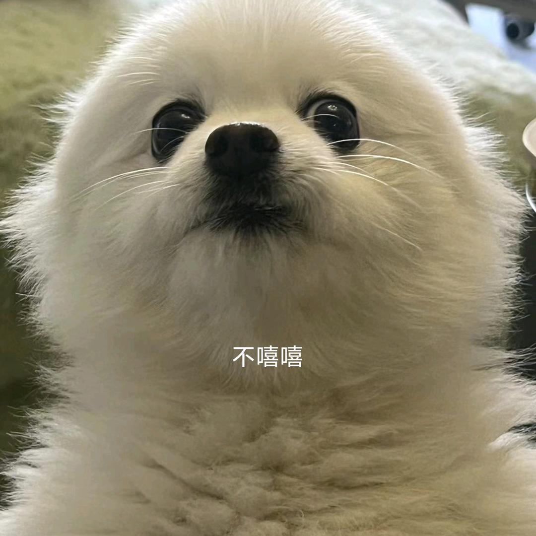 耽记