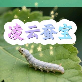 凌云蚕宝