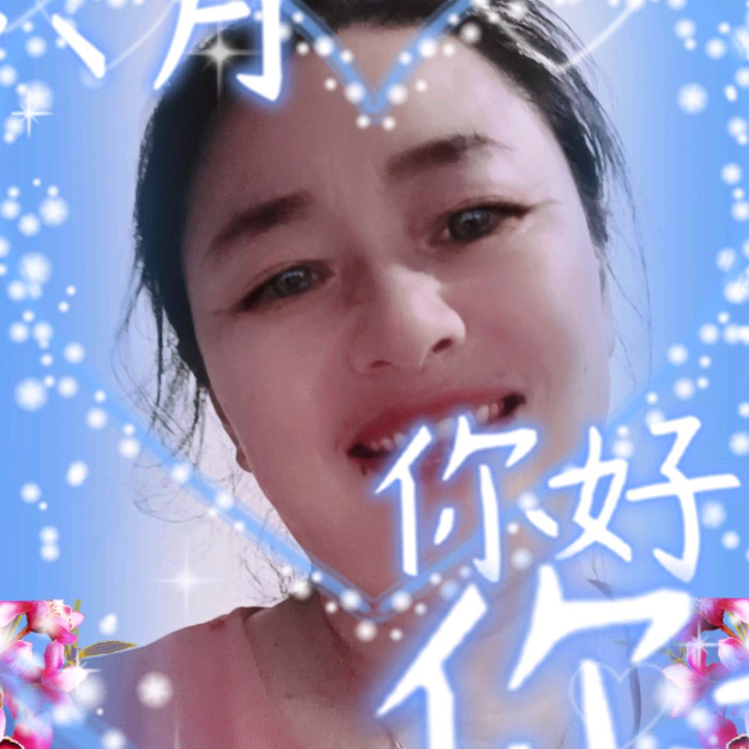 蝴蝶8102